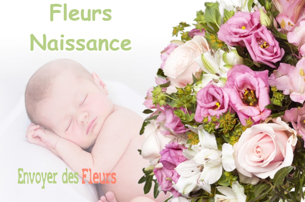 lIVRAISON FLEURS NAISSANCE à POIDS-DE-FIOLE